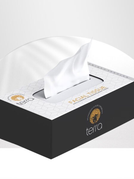 Terra Facial Tissue | 100 Pulls 2 Ply | Highly Absorbent and Soft
