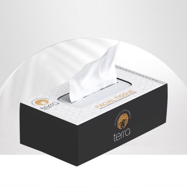 Terra Facial Tissue | 100 Pulls 2 Ply | Highly Absorbent and Soft