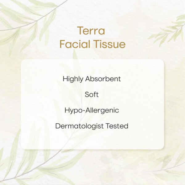 Terra Facial Tissue | 100 Pulls 2 Ply | Highly Absorbent and Soft - Image 2