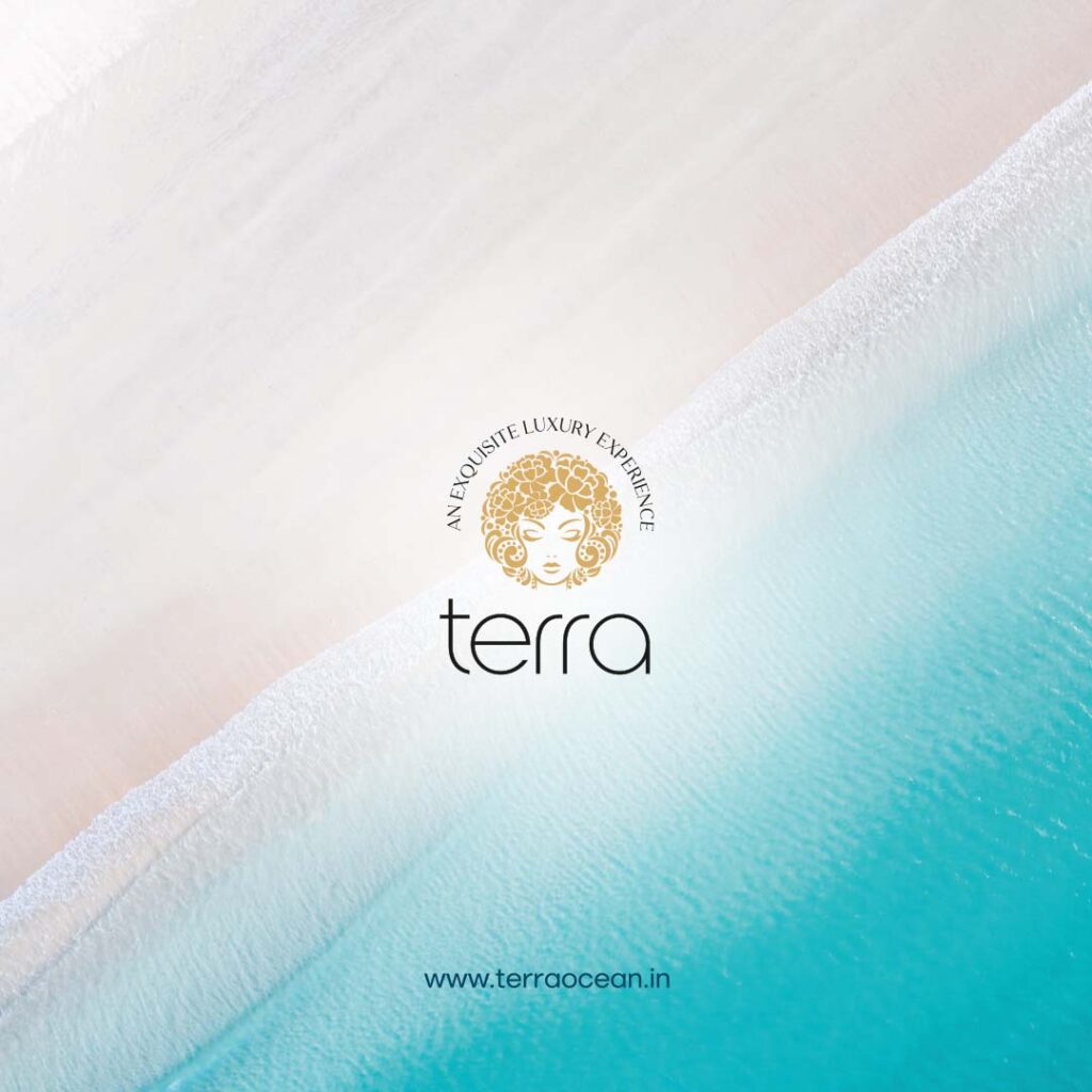 TERRA OCEAN - The name itself suggests a fusion of the earth and the ocean. This harmony is reflected in our products. We use minerals from the earth and the sea. At Terra, our only motto is to elevate, enable, and assemble the confidence of people around the globe through astounding items.